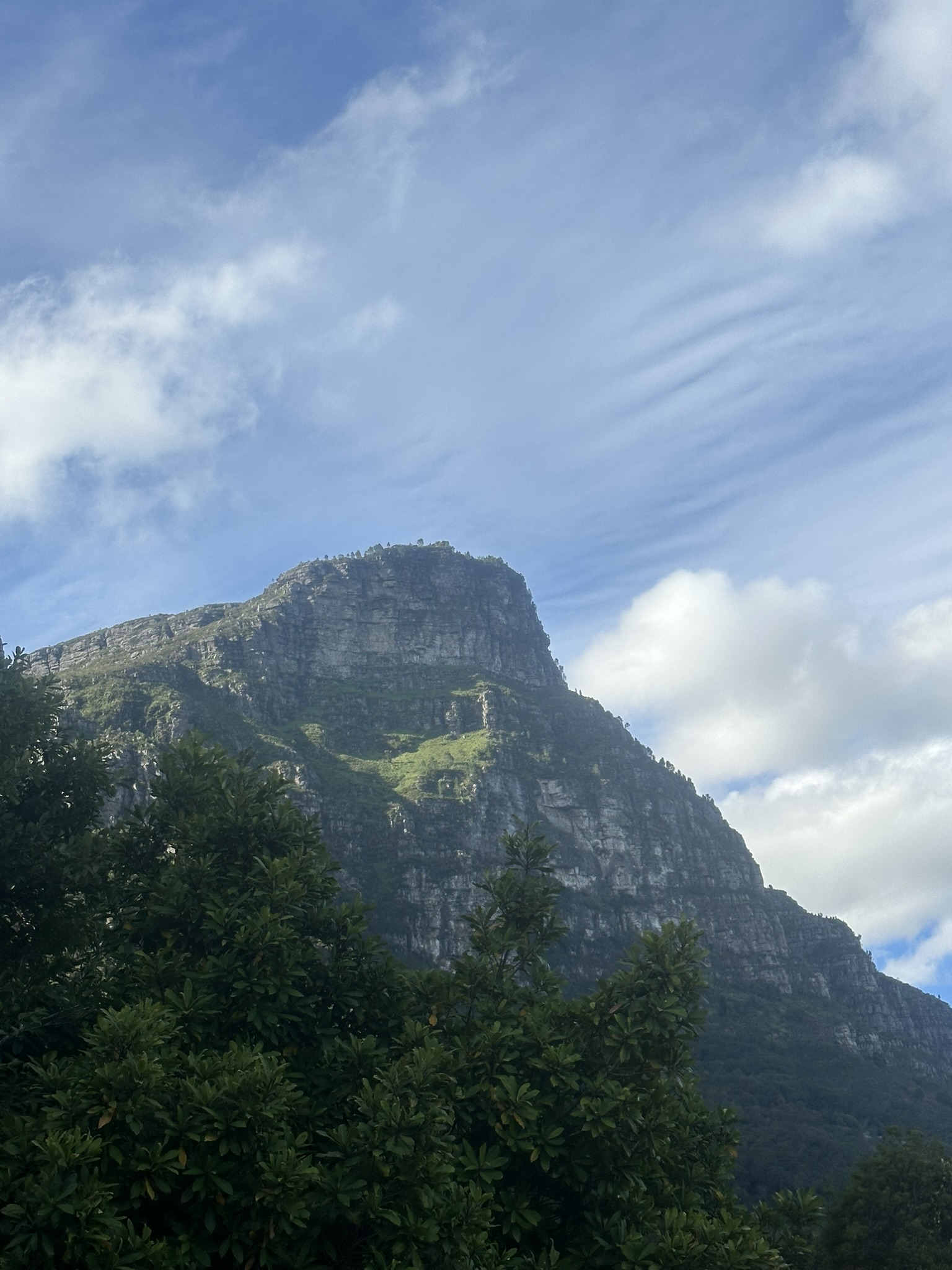 South Africa - Image 723